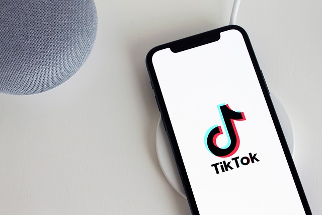 tiktok, app, iphone, telefon, sociale medier, iphone 11, smartphone, teknologi, tiktok, tiktok, tiktok, tiktok, tiktok